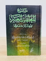 شرح المعلقات العشر وأخبار شعرائها للشيخ أحمد الأمي...