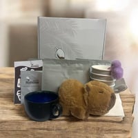 بكج رامبلاس المميز شحن مجاني