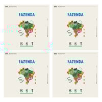 بكج 4 برازيل فازيندا من محمصة سويل مجموع 1 كيلو