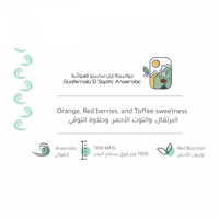 حبوب القهوة جواتيمالا إيل سابيتو لاهوائية من بيت...