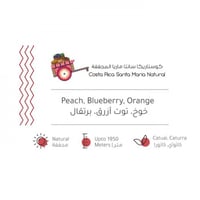 حبوب القهوة كوستاريكا سانتا ماريا المجففة من بيت ا...