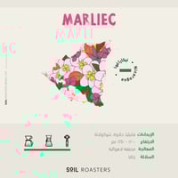 نيكاراغوا مارليك حبوب قهوة من محمصة سويل 250 ج