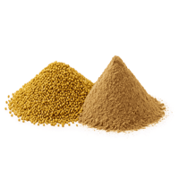 دخن بيضان مديني