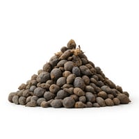 نبات السعد الطبيعي