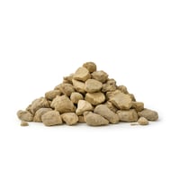 عود القسط البحري