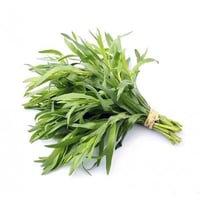 ربطة نعناع حساوي مديني نباتي