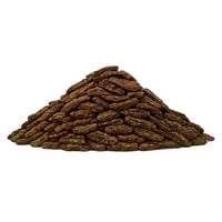 عشبة لحاء البلوط