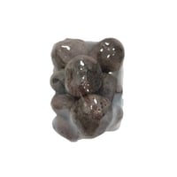 صحن بنجر الاحمر طازج