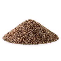 بذور الفجل الطبيعية