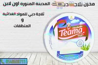 مثلث طعمة جبنة مثلثات 120 جم