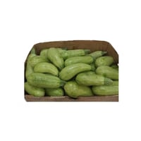 كرتون نخاخ طازج كوسا خضروات