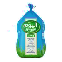 دجاج اليوم مبرد 1100