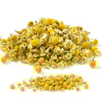 عشبة زهرة البابونج