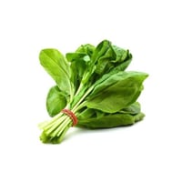 حزمة نبات سلك خضار