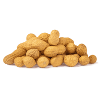 فول سوداني بالقشر