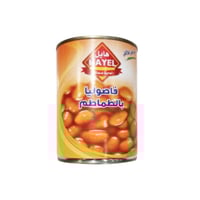 فاصوليا هايل طماطم 400 جم