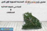 حزمة شبت نباتي