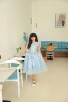 فستان انيق بتطريز فاخر