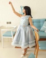 فستان انيق بتطريز فاخر