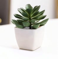 نباتات اصطناعية