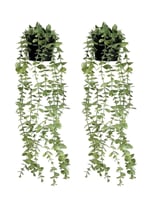 نبتة اصطناعية