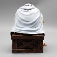 فيقر سييلفر رايلي