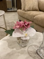 فازه ميني ورد وردي