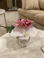 فازه ميني ورد وردي