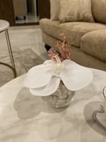 فازه ميني ورد وردي