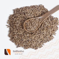 بذر حليب الشوك