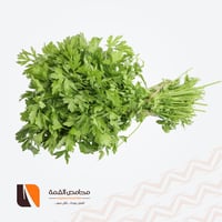 بقدونس 3 ربط