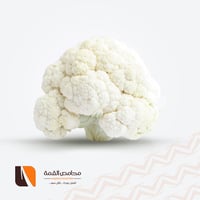 زهرة قصيمي حبه