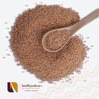 بذور الجرجير