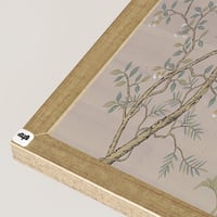 شامبين ظاهر