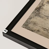 اسود ظاهر