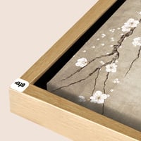 شامبين مجوف