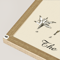 شامبين ظاهر