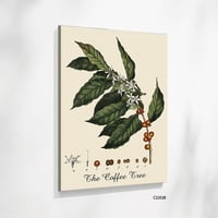 بدون اطار