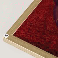 شامبين ظاهر