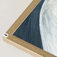 شامبين ظاهر