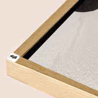 شامبين مجوف