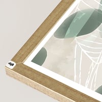 شامبين ظاهر