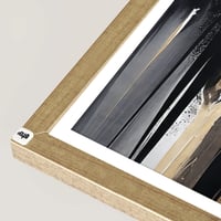 شامبين ظاهر