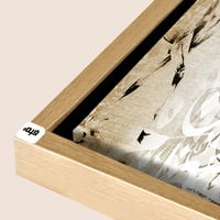 شامبين مجوف