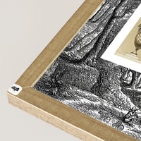 شامبين ظاهر