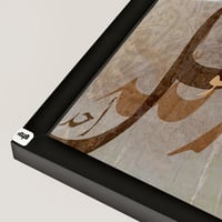 اسود ظاهر