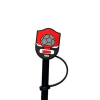 غطاء مزاز نادي الرائد