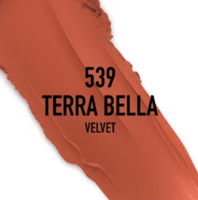 539 Terra Bella