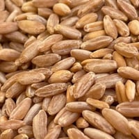 بر بلسمر 3 كيلو