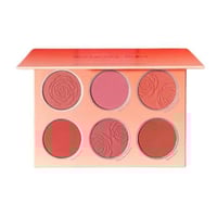 شجلام باليت احمر خدود فلورال فلوش 6 الوان